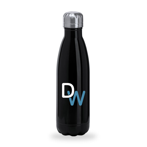 DW Health & Fitness - Standard Stainless Steel Bottle Thumbnail